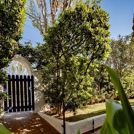 Paraiso Frente Al Mar Apto Duplex 科马鲁加 外观 照片