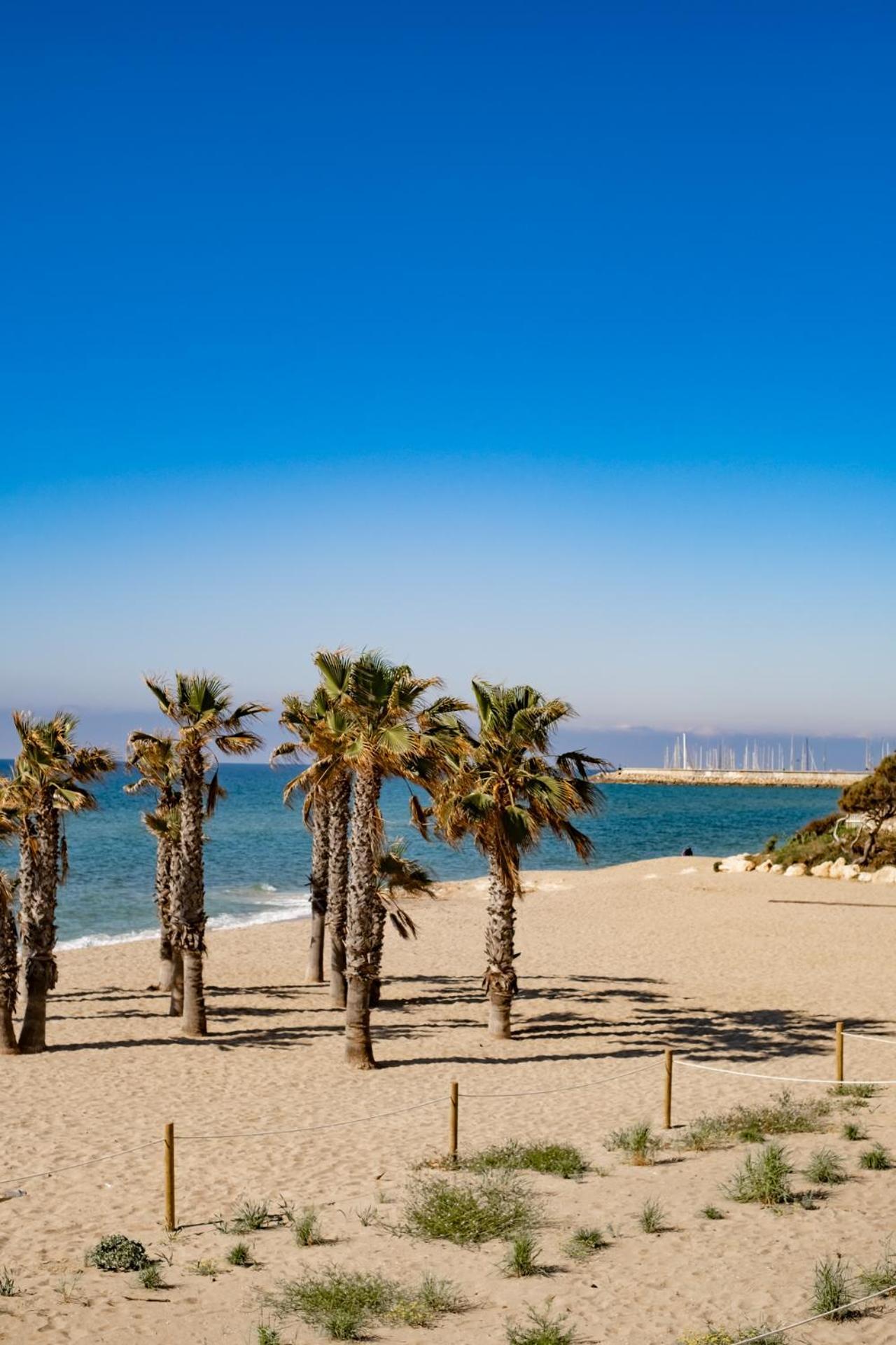 Paraiso Frente Al Mar Apto Duplex 科马鲁加 外观 照片