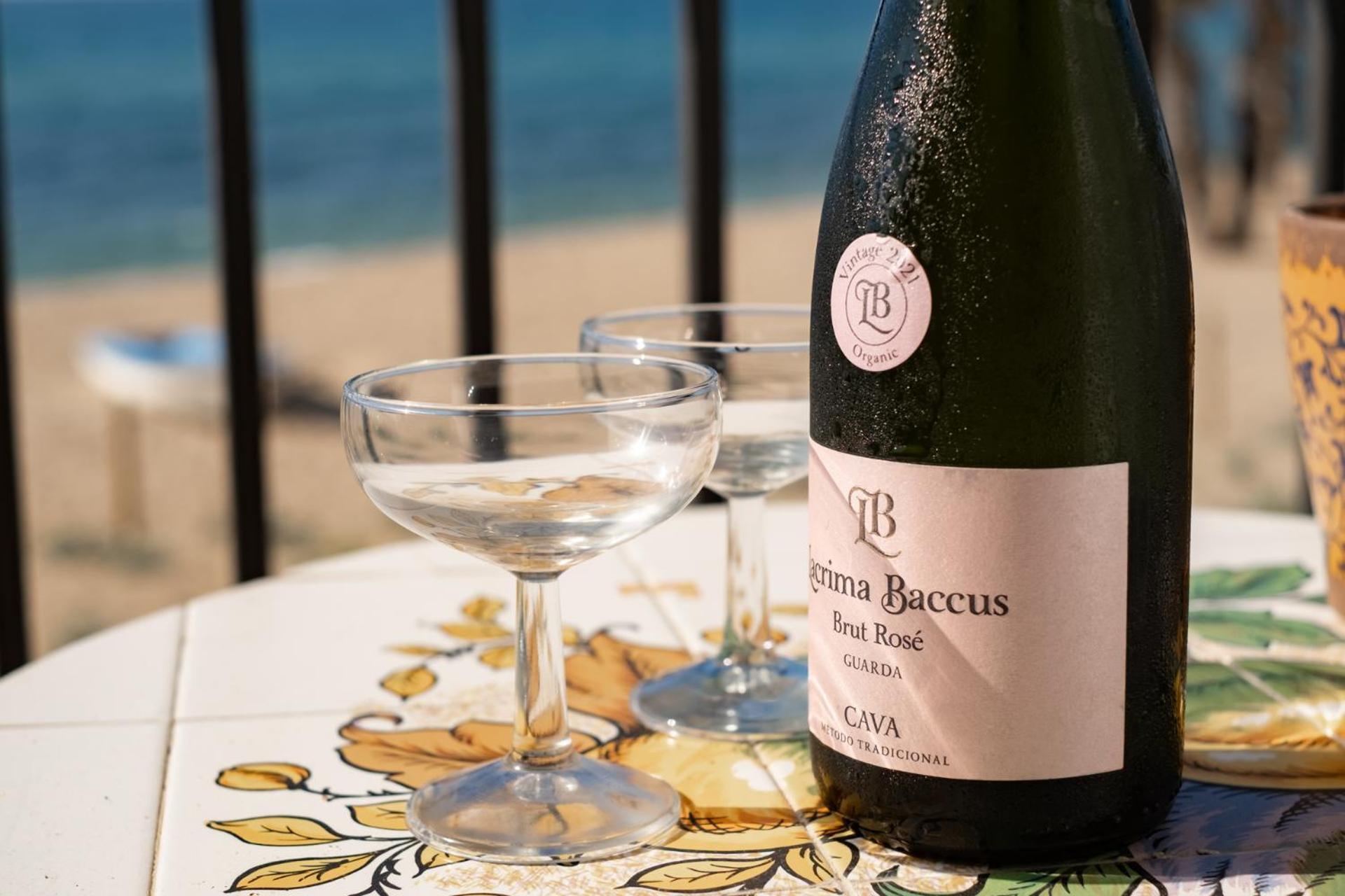 Paraiso Frente Al Mar Apto Duplex 科马鲁加 外观 照片