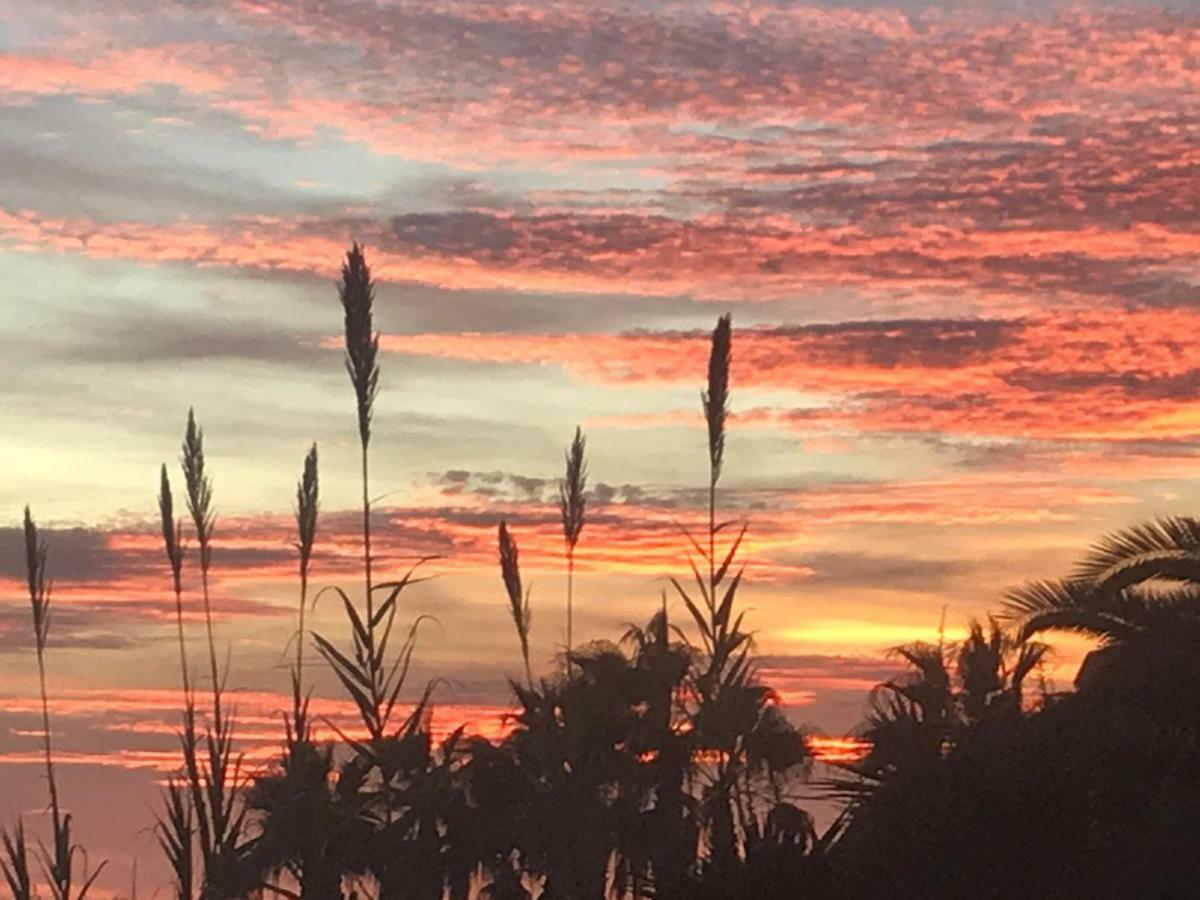 Paraiso Frente Al Mar Apto Duplex 科马鲁加 外观 照片