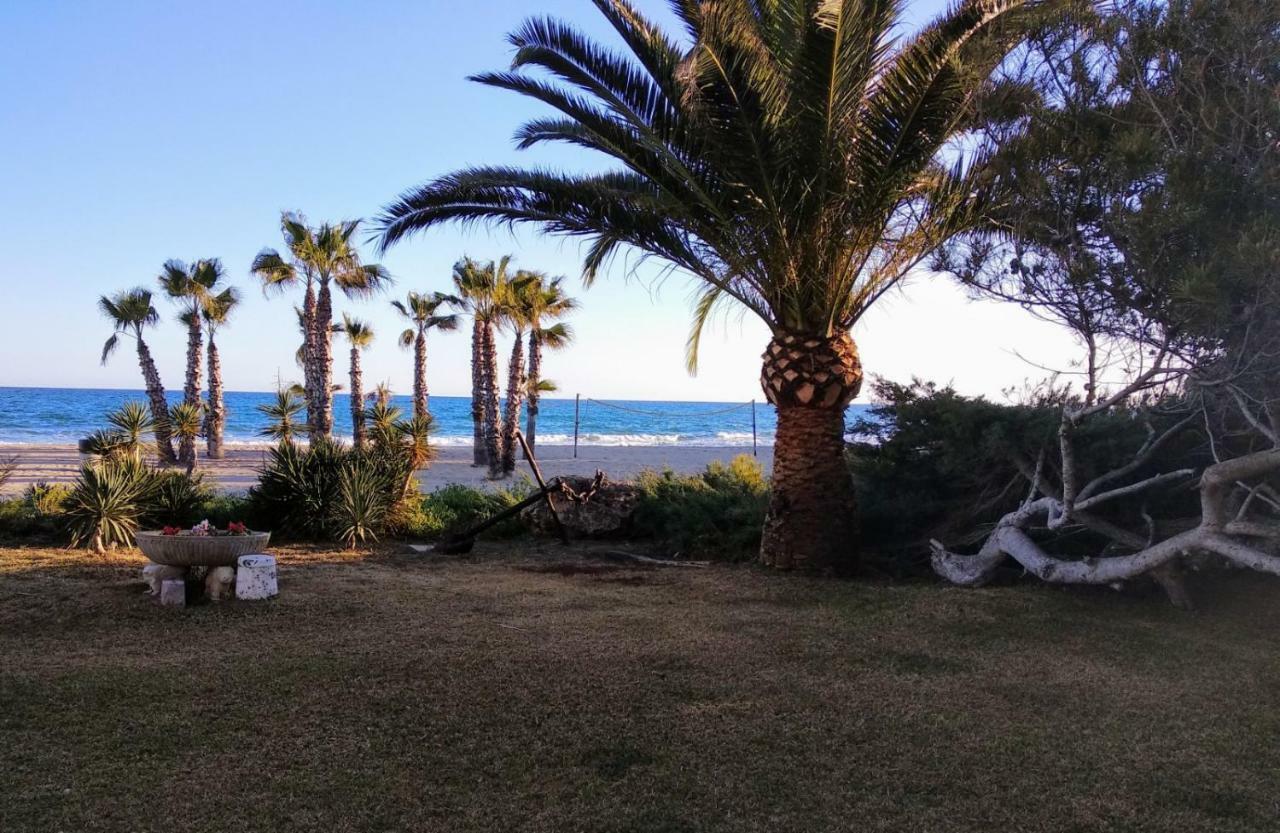 Paraiso Frente Al Mar Apto Duplex 科马鲁加 外观 照片
