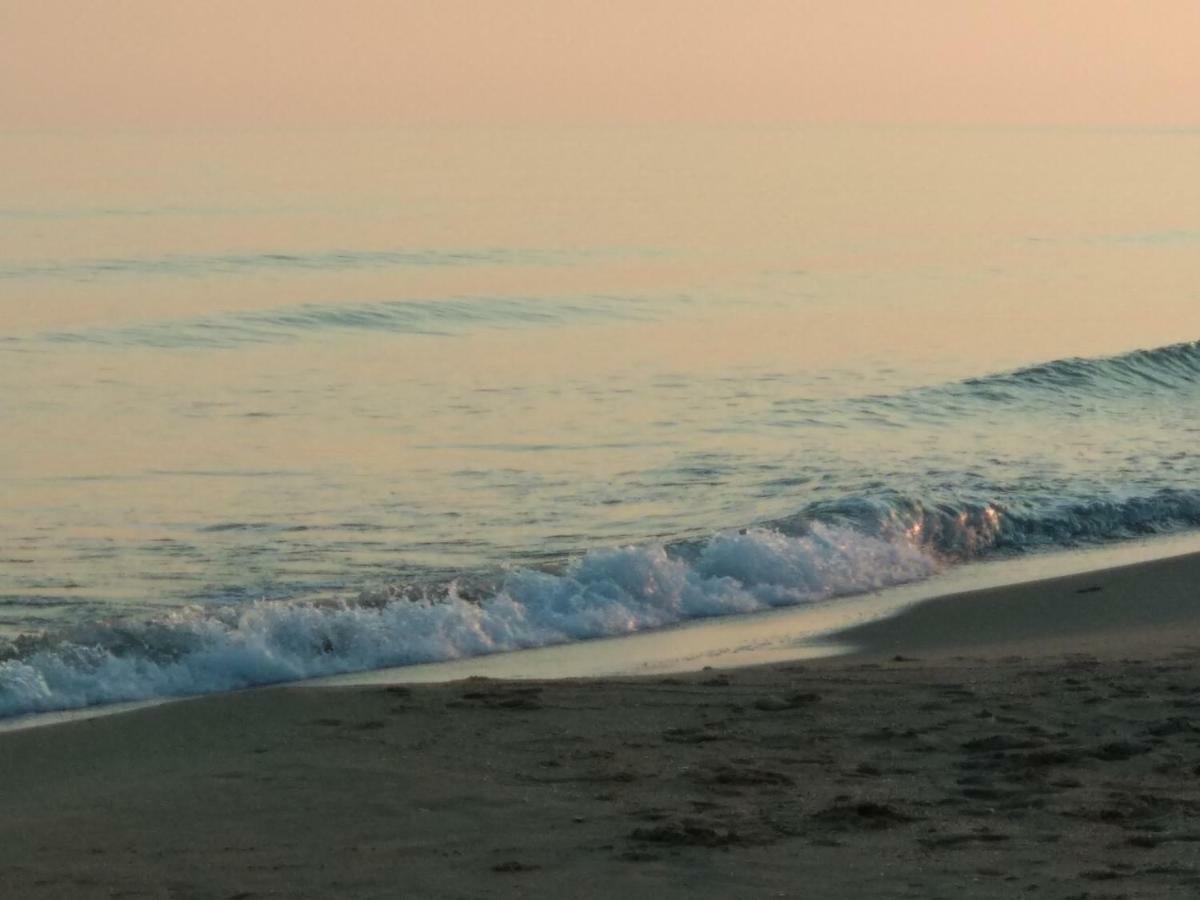 Paraiso Frente Al Mar Apto Duplex 科马鲁加 外观 照片